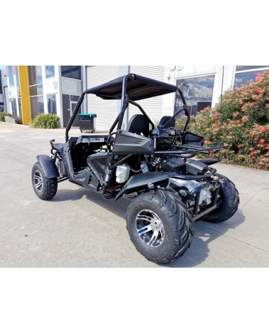 250cc Twin Seat Dune Buggy  Water Cooled Right-hand Drive 250cc Twin Seat Dune Buggy  Water Cooled Right-hand Drive