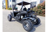 250cc Twin Seat Dune Buggy  Water Cooled Right-hand Drive
