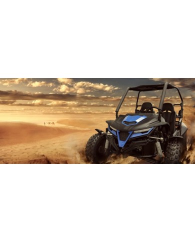 250cc Twin Seat Dune Buggy  Water Cooled Right-hand Drive 250cc Twin Seat Dune Buggy  Water Cooled Right-hand Drive