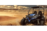 250cc Twin Seat Dune Buggy  Water Cooled Right-hand Drive