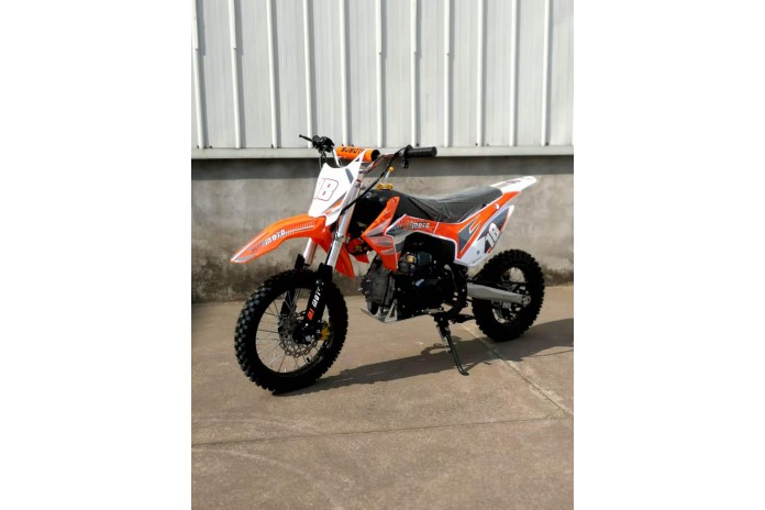Electric 110 dirt bike discount