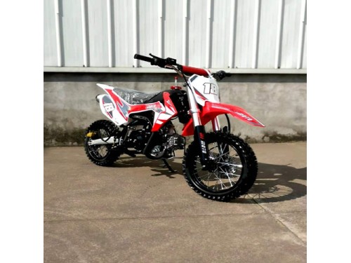 110cc Dirt Bike Trail Pit Bike Motor Electric Start Semi Auto Junior Bike Kid Green