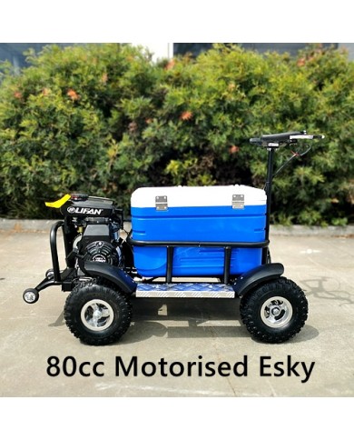80cc Motorised Cooler Scooter 4 Wheel Motorbike Atv Quad Icebox Esky Lifan