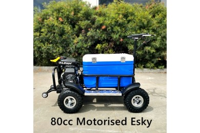 80cc Motorised Cooler Scooter 4 Wheel Motorbike Atv Quad Icebox Esky Lifan 80cc Motorised Cooler Scooter 4 Wheel Motorbike Atv Quad Icebox Esky Lifan