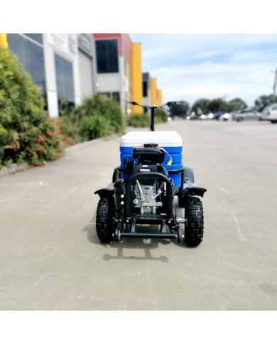 80cc Motorised Cooler Scooter 4 Wheel Motorbike Atv Quad Icebox Esky Lifan