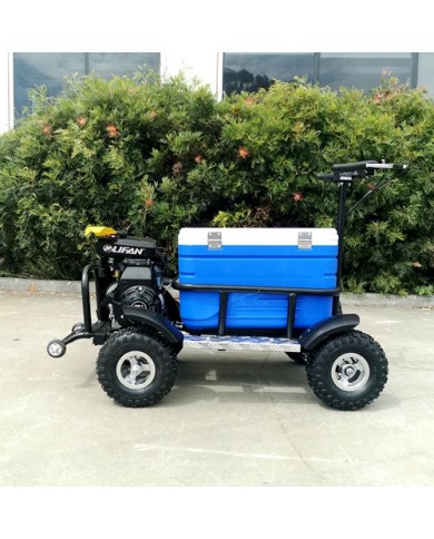 80cc Motorised Cooler Scooter 4 Wheel Motorbike Atv Quad Icebox Esky Lifan