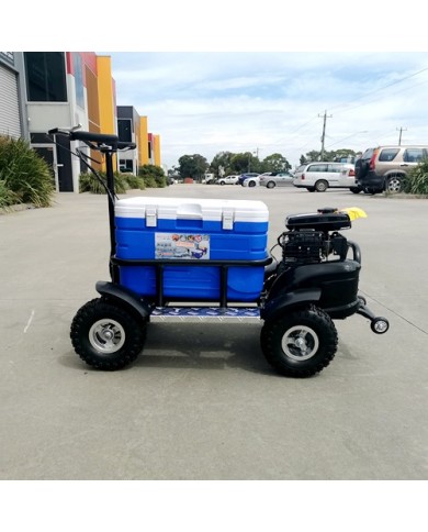 80cc Motorised Cooler Scooter 4 Wheel Motorbike Atv Quad Icebox Esky Lifan