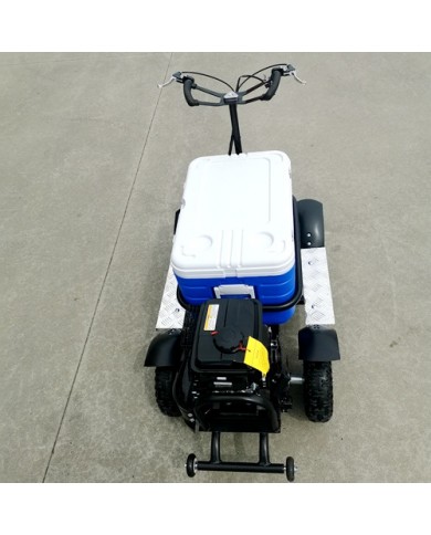 80cc Motorised Cooler Scooter 4 Wheel Motorbike Atv Quad Icebox Esky Lifan