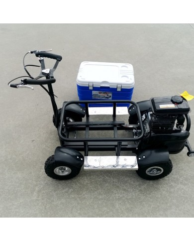 80cc Motorised Cooler Scooter 4 Wheel Motorbike Atv Quad Icebox Esky Lifan