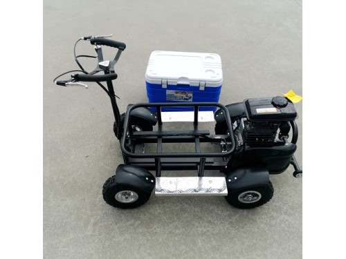 80cc Motorised Cooler Scooter 4 Wheel Motorbike Atv Quad Icebox Esky Lifan 80cc Motorised Cooler Scooter 4 Wheel Motorbike Atv Quad Icebox Esky Lifan