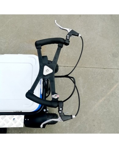 80cc Motorised Cooler Scooter 4 Wheel Motorbike Atv Quad Icebox Esky Lifan