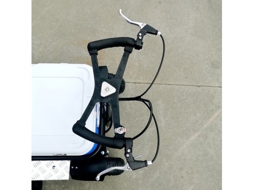 80cc Motorised Cooler Scooter 4 Wheel Motorbike Atv Quad Icebox Esky Lifan 80cc Motorised Cooler Scooter 4 Wheel Motorbike Atv Quad Icebox Esky Lifan