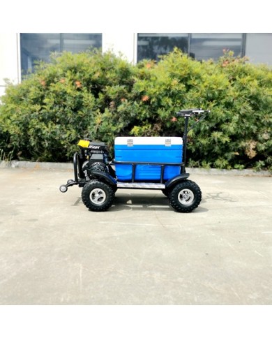 80cc Motorised Cooler Scooter 4 Wheel Motorbike Atv Quad Icebox Esky Lifan