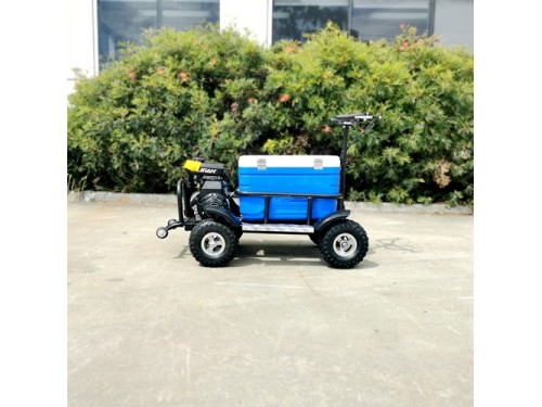 80cc Motorised Cooler Scooter 4 Wheel Motorbike Atv Quad Icebox Esky Lifan 80cc Motorised Cooler Scooter 4 Wheel Motorbike Atv Quad Icebox Esky Lifan