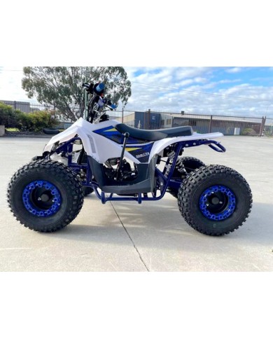 125CC ATV Quad Sport Dirt Bike 4 Wheel Buggy Go kart Rear Rack Semi Auto 1+1 BLUE 125CC ATV Quad Sport Dirt Bike 4 Wheel Buggy Go kart Rear Rack Semi Auto 1+1 BLUE