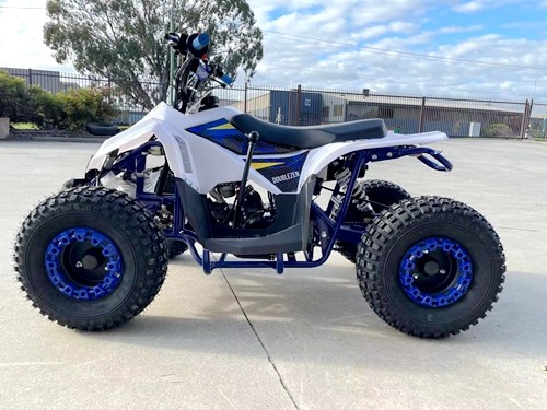 125CC ATV Quad Sport Dirt Bike 4 Wheel Buggy Go kart Rear Rack Semi Auto 1+1 BLUE