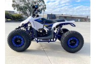 125CC ATV Quad Sport Dirt Bike 4 Wheel Buggy Go kart Rear Rack Semi Auto 1+1 BLUE