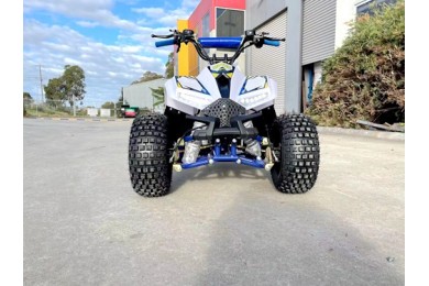 125CC ATV Quad Sport Dirt Bike 4 Wheel Buggy Go kart Rear Rack Semi Auto 1+1 BLUE 125CC ATV Quad Sport Dirt Bike 4 Wheel Buggy Go kart Rear Rack Semi Auto 1+1 BLUE