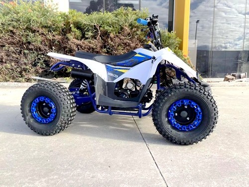125CC ATV Quad Sport Dirt Bike 4 Wheel Buggy Go kart Rear Rack Semi Auto 1+1 BLUE