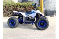 125CC ATV Quad Sport Dirt Bike 4 Wheel Buggy Go kart Rear Rack Semi Auto 1+1 BLUE