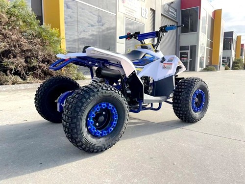 125CC ATV Quad Sport Dirt Bike 4 Wheel Buggy Go kart Rear Rack Semi Auto 1+1 BLUE