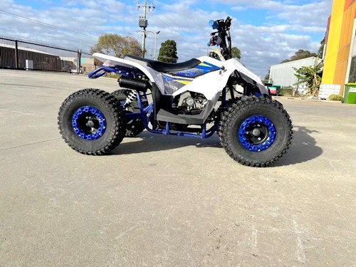 125CC ATV Quad Sport Dirt Bike 4 Wheel Buggy Go kart Rear Rack Semi Auto 1+1 BLUE