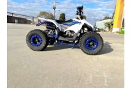 125CC ATV Quad Sport Dirt Bike 4 Wheel Buggy Go kart Rear Rack Semi Auto 1+1 BLUE