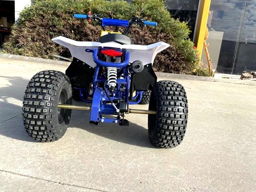125CC ATV Quad Sport Dirt Bike 4 Wheel Buggy Go kart Rear Rack Semi Auto 1+1 BLUE