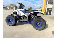 125CC ATV Quad Sport Dirt Bike 4 Wheel Buggy Go kart Rear Rack Semi Auto 1+1 BLUE