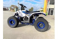 125CC ATV Quad Sport Dirt Bike 4 Wheel Buggy Go kart Rear Rack Semi Auto 1+1 BLUE