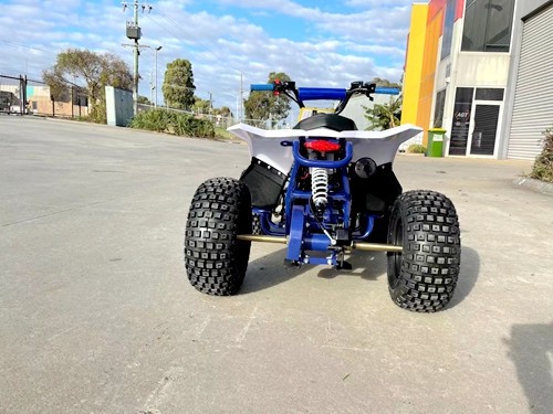 125CC ATV Quad Sport Dirt Bike 4 Wheel Buggy Go kart Rear Rack Semi Auto 1+1 BLUE
