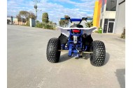 125CC ATV Quad Sport Dirt Bike 4 Wheel Buggy Go kart Rear Rack Semi Auto 1+1 BLUE