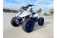125CC ATV Quad Sport Dirt Bike 4 Wheel Buggy Go kart Rear Rack Semi Auto 1+1 BLUE