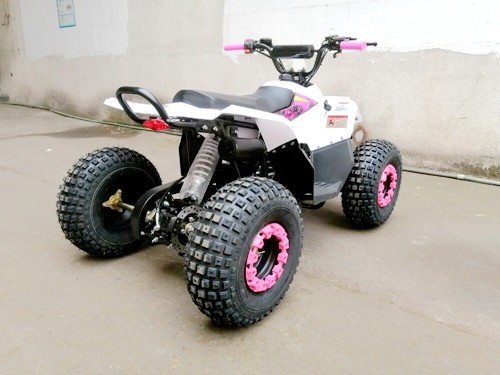 125CC ATV Quad Sport Dirt Bike 4 Wheel Buggy Go kart Rear Rack Semi Auto 1+1 PINK