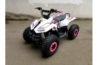 125CC ATV Quad Sport Dirt Bike 4 Wheel Buggy Go kart Rear Rack Semi Auto 1+1 PINK 125CC ATV Quad Sport Dirt Bike 4 Wheel Buggy Go kart Rear Rack Semi Auto 1+1 PINK