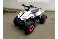 125CC ATV Quad Sport Dirt Bike 4 Wheel Buggy Go kart Rear Rack Semi Auto 1+1 PINK