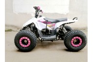 125CC ATV Quad Sport Dirt Bike 4 Wheel Buggy Go kart Rear Rack Semi Auto 1+1 PINK