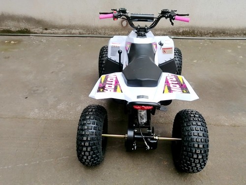 125CC ATV Quad Sport Dirt Bike 4 Wheel Buggy Go kart Rear Rack Semi Auto 1+1 PINK