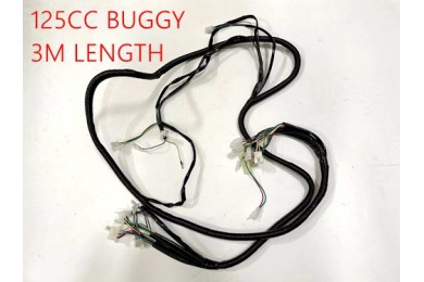 Wiring Harness Wiring Loom 125CC BUGGY SAHARA 3M LENGTH TWIN SEAT E-START