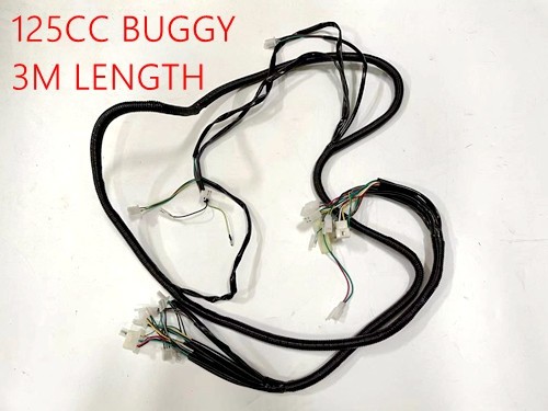 Wiring Harness Wiring Loom 125CC BUGGY SAHARA 3M LENGTH TWIN SEAT E-START