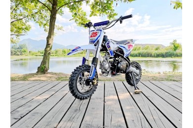 70cc Dirt Bike Trail Pit Bike Motor Electric Start Auto STINGRAY Junior Bike Kid Blue 70cc Dirt Bike Trail Pit Bike Motor Electric Start Auto STINGRAY Junior Bike Kid Blue