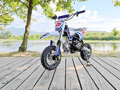 70cc Dirt Bike Trail Pit Bike Motor Electric Start Auto STINGRAY Junior Bike Kid Blue