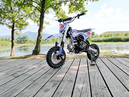 70cc Dirt Bike Trail Pit Bike Motor Electric Start Auto STINGRAY Junior Bike Kid Blue