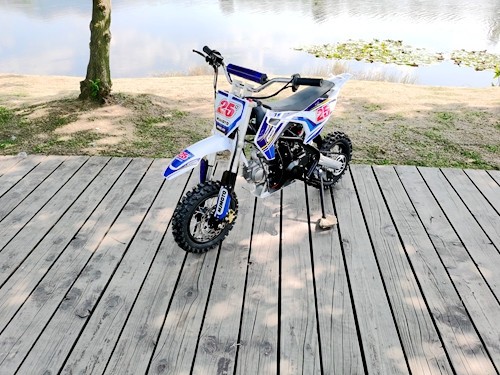 70cc Dirt Bike Trail Pit Bike Motor Electric Start Auto STINGRAY Junior Bike Kid Blue