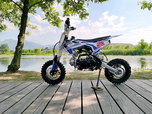 70cc Dirt Bike Trail Pit Bike Motor Electric Start Auto STINGRAY Junior Bike Kid Blue