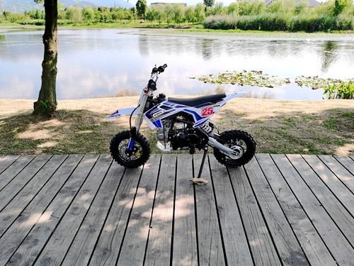 70cc Dirt Bike Trail Pit Bike Motor Electric Start Auto STINGRAY Junior Bike Kid Blue