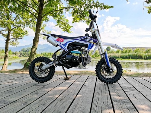 70cc Dirt Bike Trail Pit Bike Motor Electric Start Auto STINGRAY Junior Bike Kid Blue