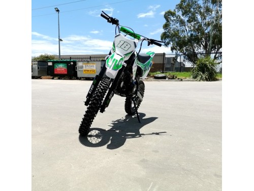 125CC DIRT BIKE PIT MOTOR TRAIL MOTOCROSS DINGO PRO ELECTRIC START 14/17 BIG WHEEL GREEN