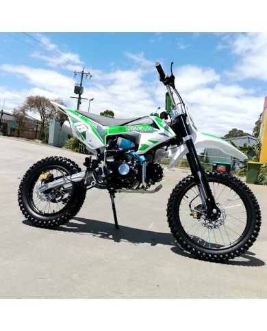 125CC DIRT BIKE PIT MOTOR TRAIL MOTOCROSS DINGO PRO ELECTRIC START 14/17 BIG WHEEL GREEN 125CC DIRT BIKE PIT MOTOR TRAIL MOTOCROSS DINGO PRO ELECTRIC START 14/17 BIG WHEEL GREEN