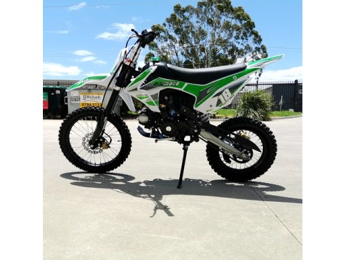 125CC DIRT BIKE PIT MOTOR TRAIL MOTOCROSS DINGO PRO ELECTRIC START 14/17 BIG WHEEL GREEN
